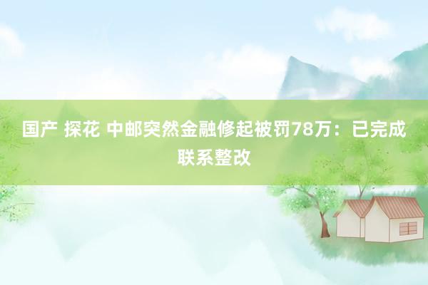 国产 探花 中邮突然金融修起被罚78万：已完成联系整改