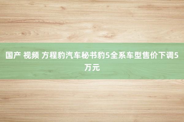 国产 视频 方程豹汽车秘书豹5全系车型售价下调5万元