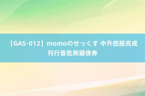 【GAS-012】momoのせっくす 中升控股完成刊行首批熊猫债券