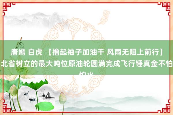 唐嫣 白虎 【撸起袖子加油干 风雨无阻上前行】河北省树立的最大吨位原油轮圆满完成飞行锤真金不怕火